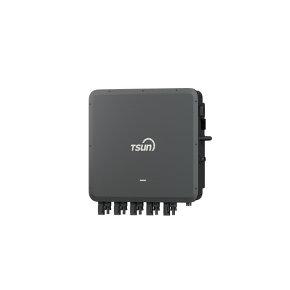 Hybrid Microinverter (MH2000/MH1000)